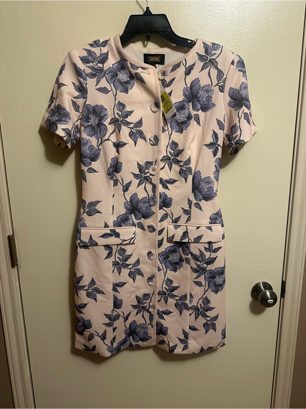 Alexa Admor Pale Pink Floral Short-Sleeve Dress